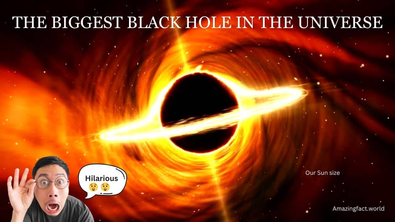 What Is The Biggest Black Hole In The Universe? Hilarious 2023